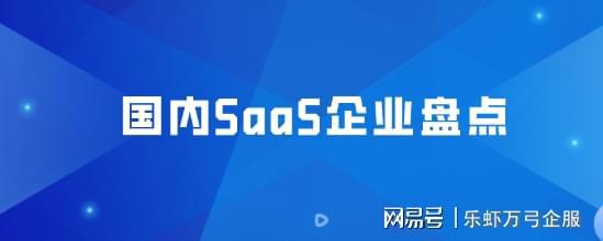 pg电子网2024年国内8大类好用SaaS软件平台盘点