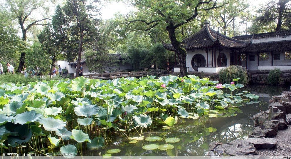 pg电子爆大奖视频点石成金：郑州网站优化技术(优化网站的技术)