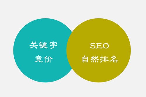 pg电子官方网站SEO和网站优化之间的区别