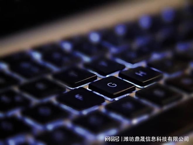 pg电子官方网站网站建设SEO优化教程