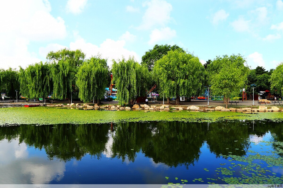 网站建设公司哪家好(建网站找哪个平台好呢)
