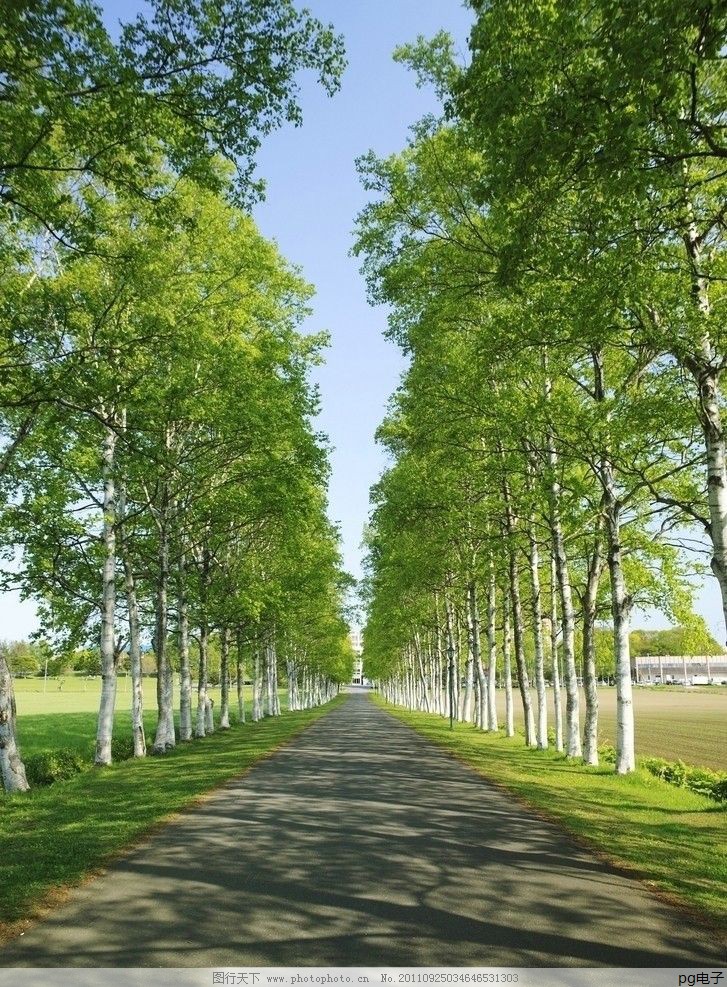 网站建设多少钱兴田德润在哪里