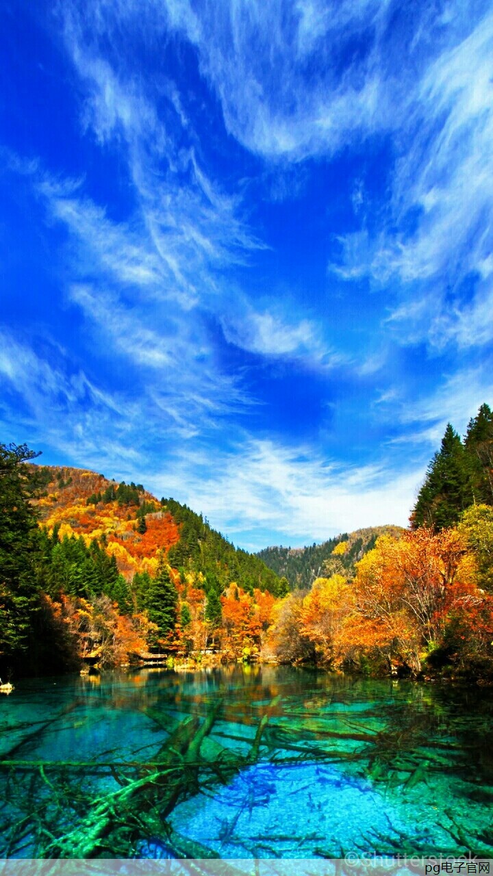 郑州网站优化渠道(郑州网站优化渠道有哪些)