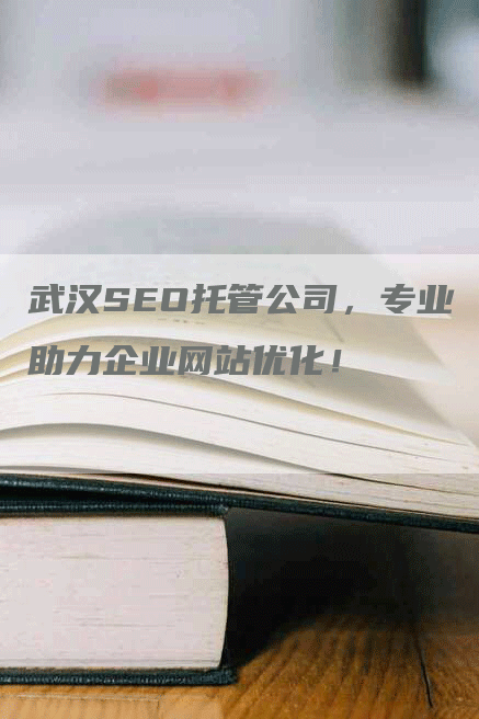 武汉SEO托管公司，专业助力企业网站优化！