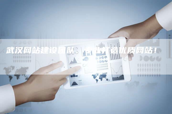 武汉网站建设团队，专业打造优质网站！