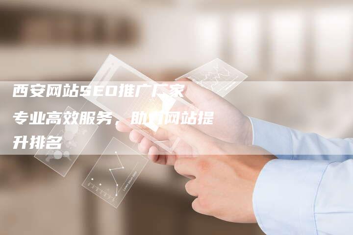 西安网站SEO推广厂家 专业高效服务，助力网站提升排名